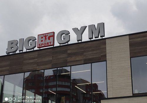 BigGym